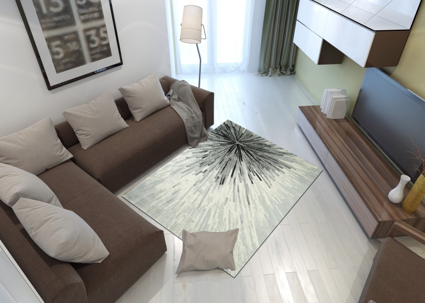 White color in the interior of the living room