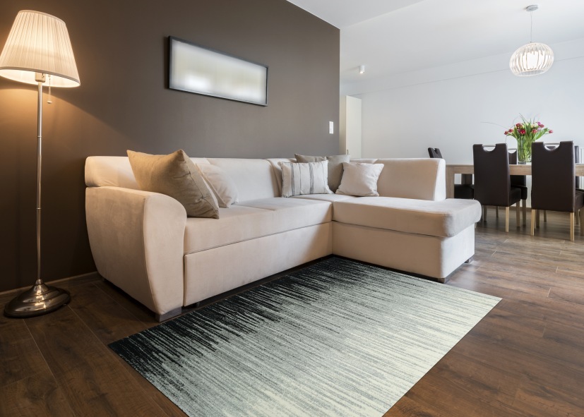 Modern interior design apartment